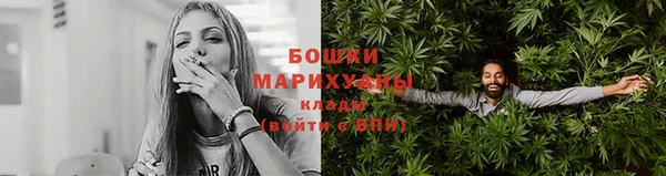 твердый Краснослободск