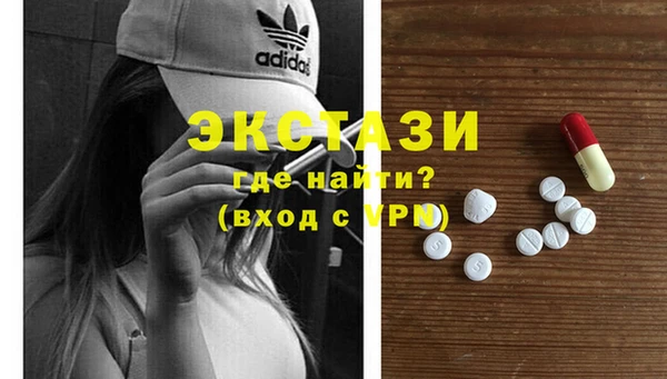твердый Краснослободск