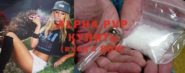 твердый Краснослободск