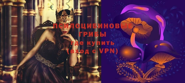 твердый Краснослободск