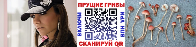 Псилоцибиновые грибы мухоморы  Купить закладки  Жирновск 